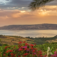 720 Pão da Terra prometida Ciclo Tanach Yehoshua 5