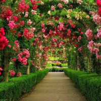 O mundo é maravilhoso!