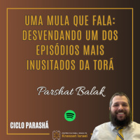 1205 Parshat Balak: Uma mula que fala: desvendando um dos episódios mais inusitados da Torá. Ciclo Parashá