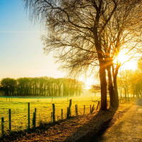 Ciclo Um dia mais iluminado - 2