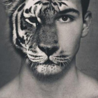 Episódio 665 - Ciclo de Tanya 2 - Conheça sua alma animal