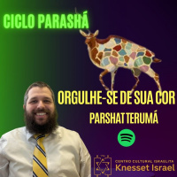 767 Orgulhe-se de sua cor