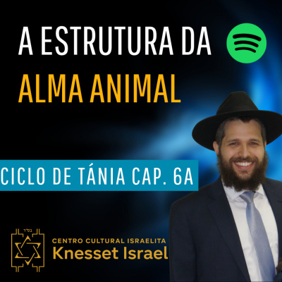 Rabino Avraham Stiefelmann