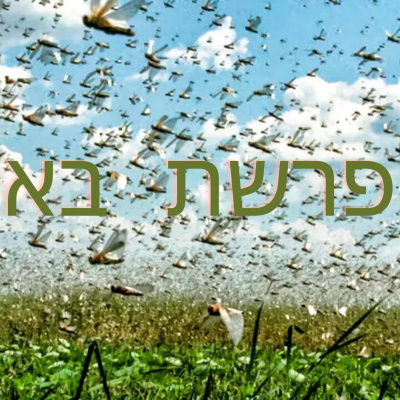 Rabino Avraham Stiefelmann