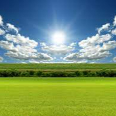 Rabino Avraham Stiefelmann