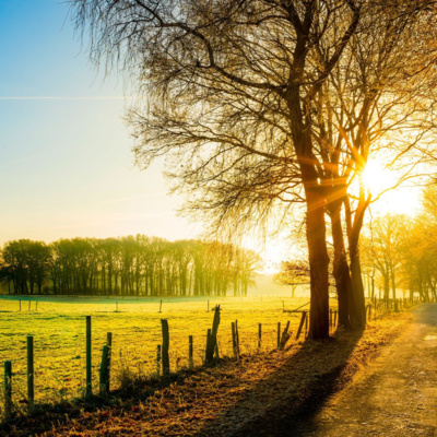 Rabino Avraham Stiefelmann