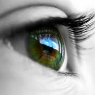 Rabino Avraham Stiefelmann