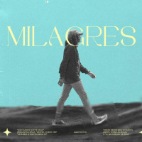 As páginas que não podemos pular - Henrique Ladenthim