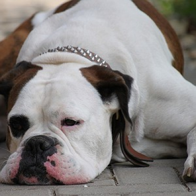 Cuidando Do Seu Dinheiro