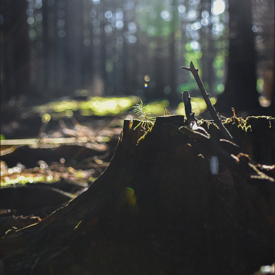 Escola Da Vida - Mario Sergio Cortella