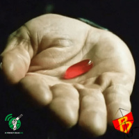 #353 - Red pills e incels: o fascismo e o ódio às mulheres (com Letícia Ueda Vella) #OPodcastÉDelas2025