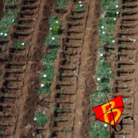 Lado B do Rio #184 - Roleta do Genocídio