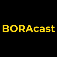 Profissional Memorável: Arquiteta Dani Zimmermann | BORAcast 51