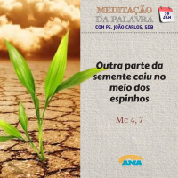 29 de Janeiro - Meditação da Palavra do Senhor