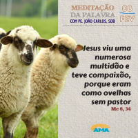 08 de Fevereiro - Meditação da Palavra do Senhor