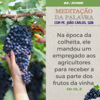 03 de junho DE 2024 - Meditação da Palavra do Senhor