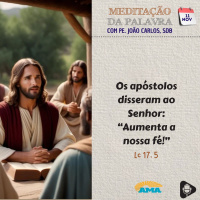 11 de novembro de 2024 - Meditacao da Palavra do Senhor (2)