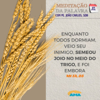 27 de julho de 2024 - Meditação da Palavra do Senhor