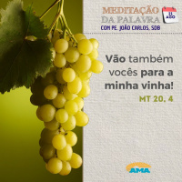 21 de agosto de 2024 - Meditação da Palavra do Senhor