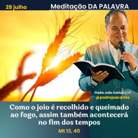 28 de Julho - Meditação Palavra do Senhor