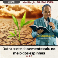 28 de janeiro - Meditação da Palavra do Senhor