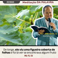 29 de Maio - Meditação Palavra do Senhor
