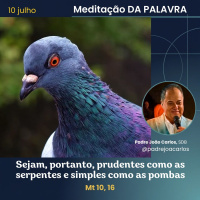 10 de Julho _ Meditação Palavra do Senhor