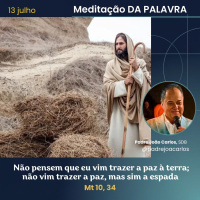 13 de Julho _ Meditação Palavra do Senhor