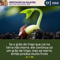 17 de MARÇO DE 2024 - Meditação da Palavra do Senhor