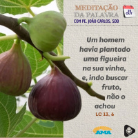 26 de outubro de 2024 - Meditacao da Palavra do Senhor