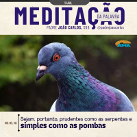 11 de julho - Meditação da Palavra do Senhor