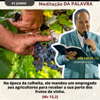 01 de Junho - Meditação Palavra do Senhor