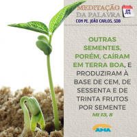 24 de julho de 2024 - Meditação da Palavra do Senhor