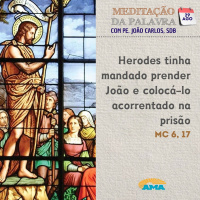 29 de agosto de 2024 - Meditação da Palavra do Senhor