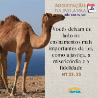 27 de agosto de 2024 - Meditação da Palavra do Senhor