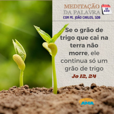Reflexões Do Pe. João Carlos