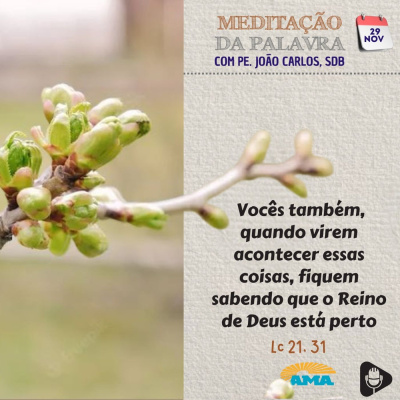 Reflexões Do Pe. João Carlos