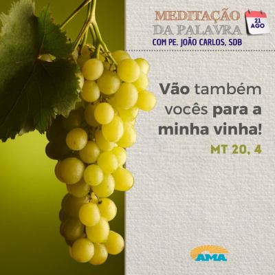 Reflexões Do Pe. João Carlos