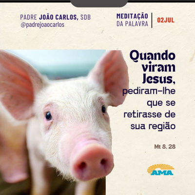 Reflexões Do Pe. João Carlos