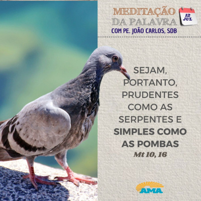 Reflexões Do Pe. João Carlos