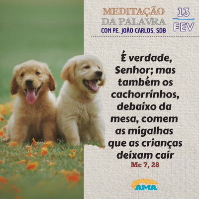 Reflexões Do Pe. João Carlos