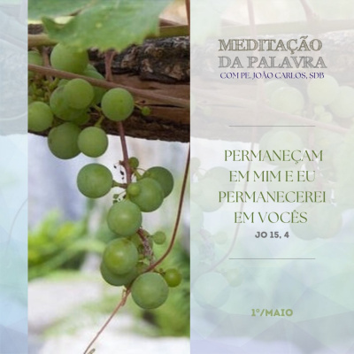 Reflexões Do Pe. João Carlos