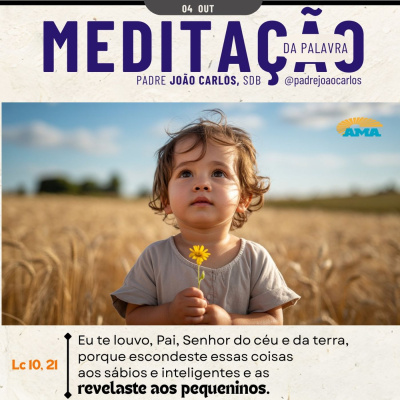 Reflexões Do Pe. João Carlos
