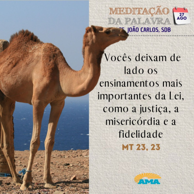 Reflexões Do Pe. João Carlos