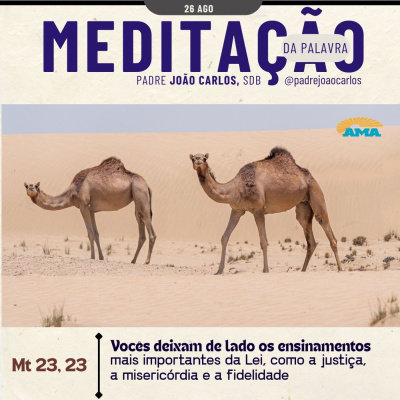 Reflexões Do Pe. João Carlos