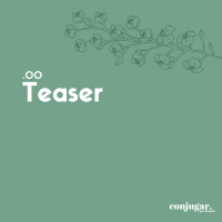Teaser | Conjugar 00