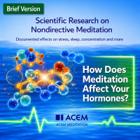 7. How Does Meditation Affect Your Hormones? (b)