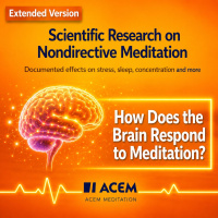 12. How Does the Brain Respond to Meditation? (e)