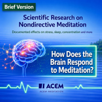 11. How Does the Brain Respond to Meditation? (b)
