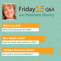 What is a GDS, Do I Need a GDS, Unique Business Model